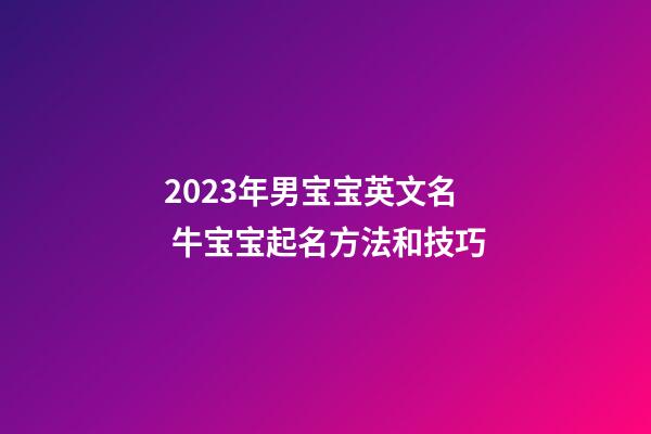 2023年男宝宝英文名 牛宝宝起名方法和技巧